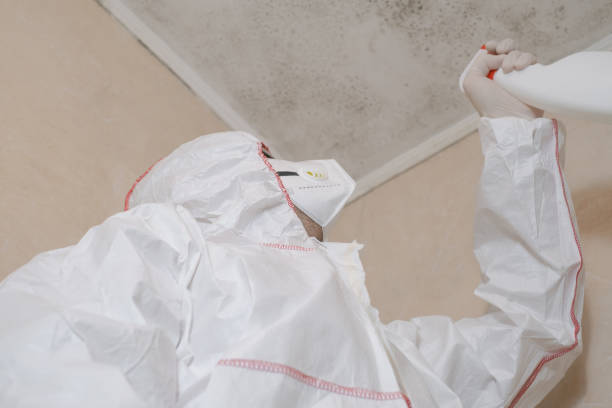 Best Crawl Space Mold Removal  in Greensboro, GA