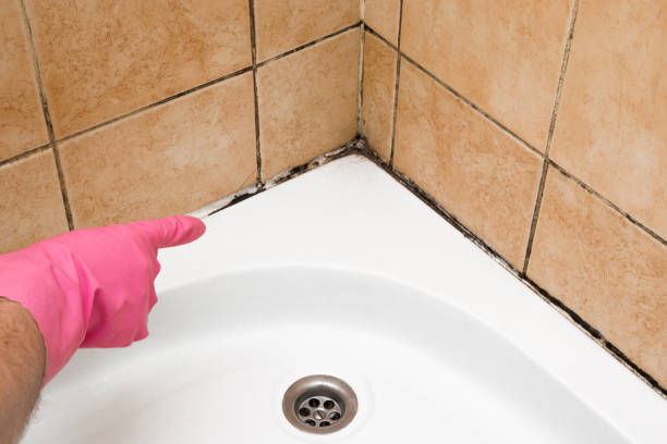 Best Mold Removal Process  in Greensboro, GA